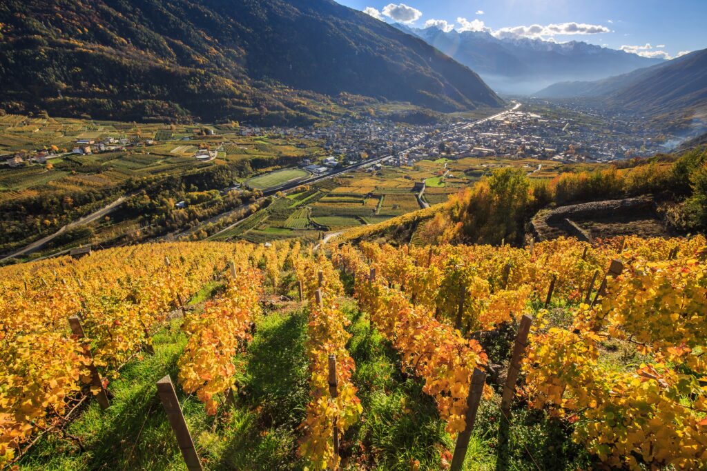 AUTUNNO IN VALTELLINA: WEBINAR IL 25 SETTEMBRE
